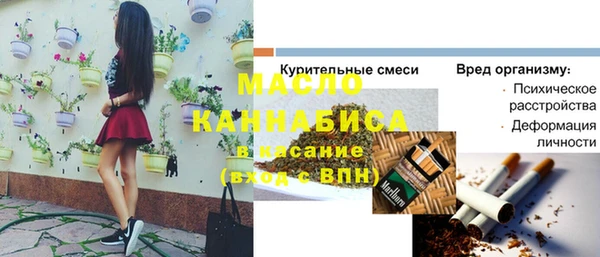 молекула духа Волоколамск