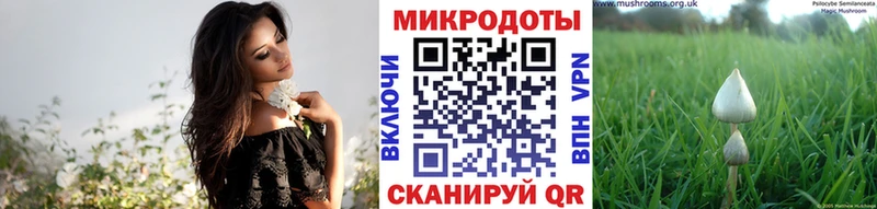 где найти   blacksprut сайт  Галлюциногенные грибы прущие грибы  Славянск-на-Кубани 