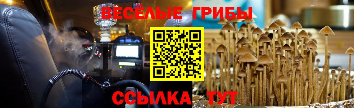 Галлюциногенные грибы мухоморы  Вход с VPN  Галлюциногенные грибы прущие грибы  Славянск-на-Кубани 